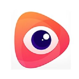 大眼视频软件