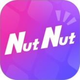 NutNut正版