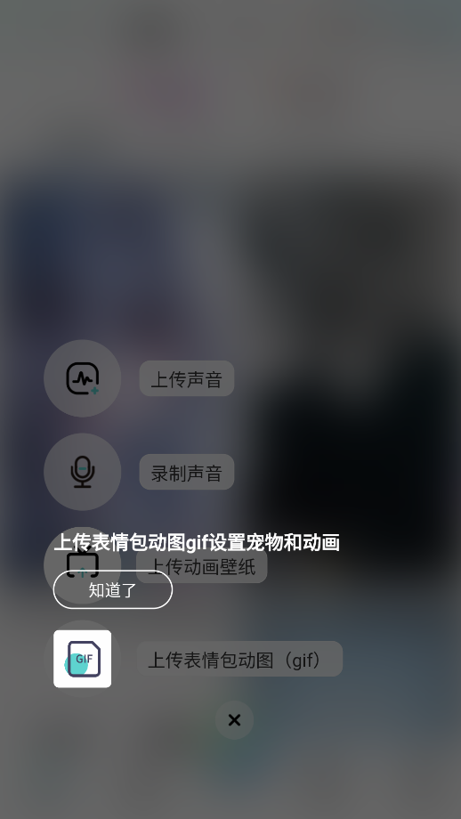 空空鱼