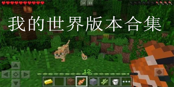 我的世界版本