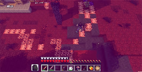 PVZMC植物大战泰拉世界